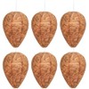 DECYOOL 6 Pack Paper Wasp Nest Decoy Hanging Wasp Nest