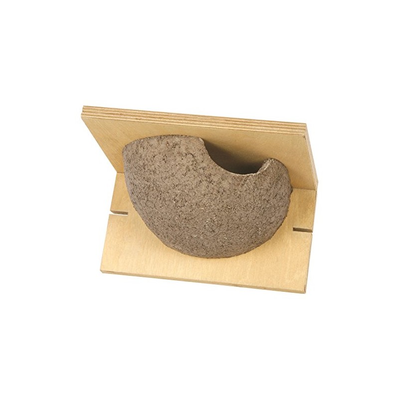 House Martin Wild Bird Nest Box