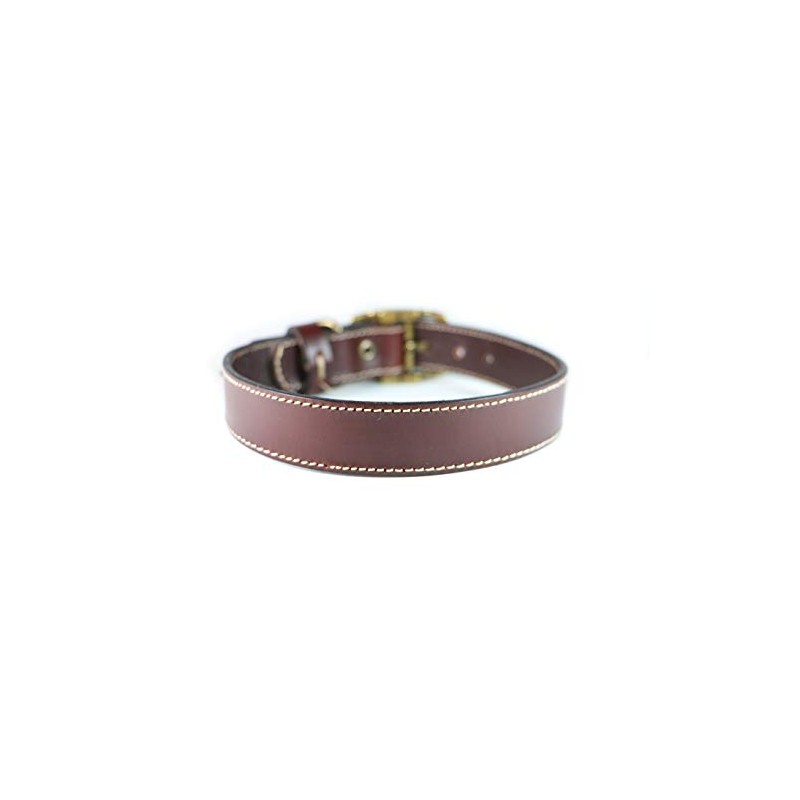 Cango Collar para Perro de Piel Hecho a Mano 100%