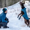 RC Pet Products Cascade Dog Coat, Essential All Weather Dog