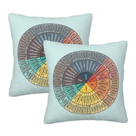 Lalamelody - Fundas de almohada cuadradas con diseño de rueda de emociones para cama, sofá, terapia, oficina, sala de estar, consejero, fisioterapeuta (juego de 2, 18 x 18 pulgadas)