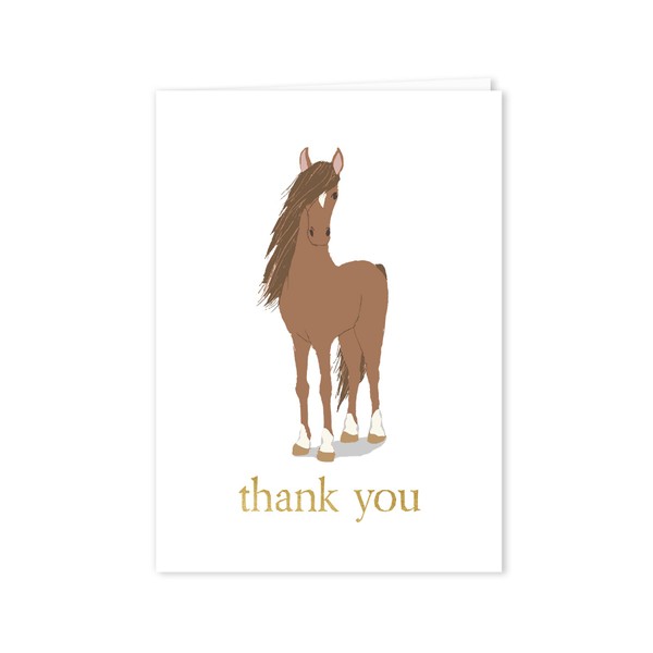 Paper Frenzy Horse Thank You Note Cards 25 pack with Kraft Envelopes