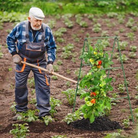 Cucumber Trellis Garden Trellis Arch Trellis, Tall Trellis for Climbing Plants Support Vegetable Peas Fruit Vine Outdoor A-Frame Trellis Suit for Small Plant not Heavy