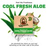 Dr. Squatch All Natural Soap Bar for Men, 3 Bar