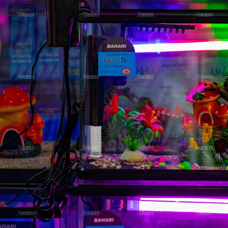 AUEAR, 2 Pack Stainless Steel Mesh Inflow Aquarium Filter Guard