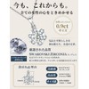 EVER FLAWLESS Women's Necklace, Made in Japan, Snowflakes, Gift, Treat