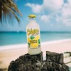 Calypso Lemonade, Original Lemonade, Made with Real Fruit, 16 Fl
