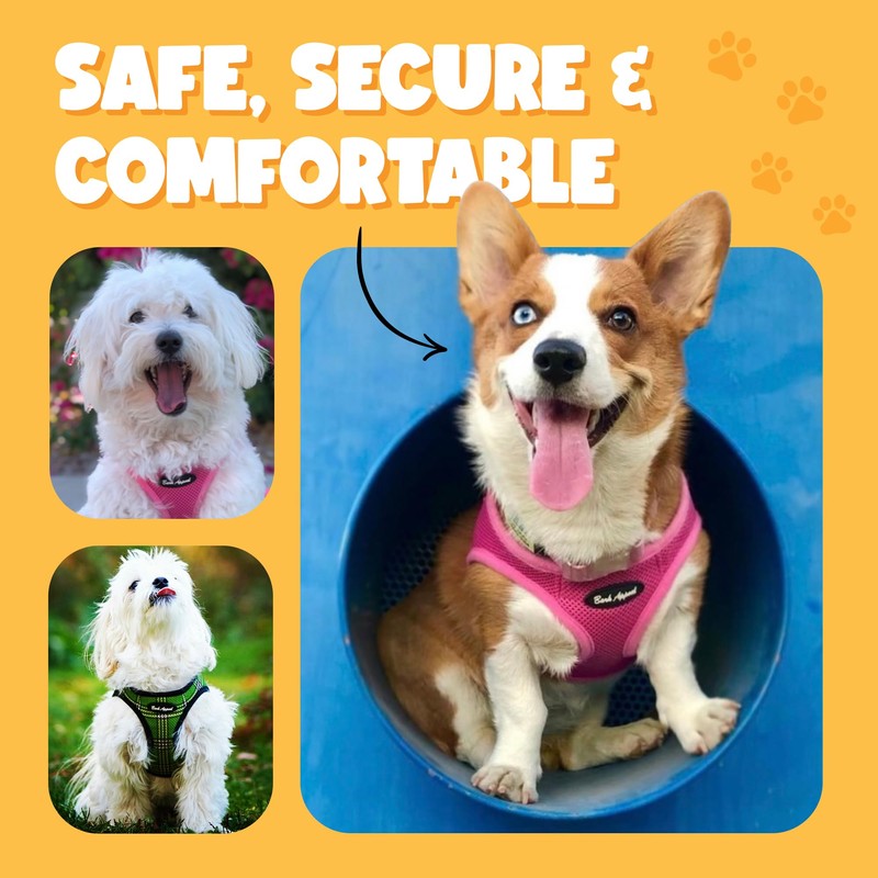 Bark Appeal Blue Step-in Dog Harness for Small-Medium Pets –