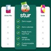 Stur Liquid Water Enhancer | Fruit Punch | Naturally Sweetened