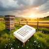 Pxiryanlow White Queen Marker Cage Clip Bee Plastic Catcher Beekeeper