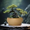 MUZHI 9.5” Round Large Ceramic Bonsai Bowl Planter，Clay Succulent Plant