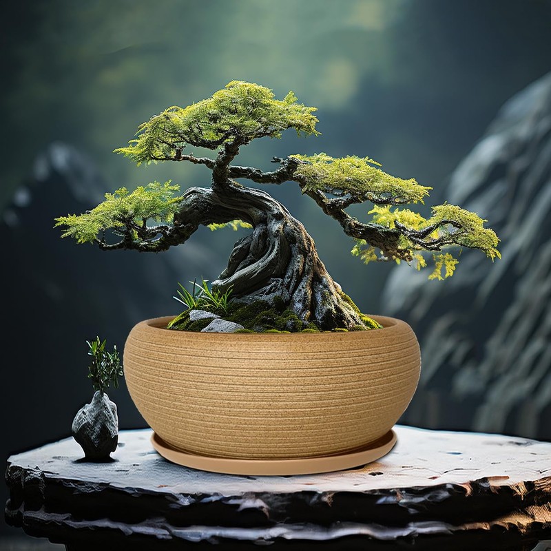 MUZHI 9.5” Round Large Ceramic Bonsai Bowl Planter，Clay Succulent Plant