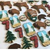Buffalo 4 Inch Cookie Cutter from The Cookie Cutter Shop