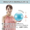 TFL-02 Tone Exercise Ball, Mini, 8.7 inches (22 cm), Pilates
