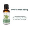 Cococare 100 Percent Peppermint Oil - Essential Oil for Aromatherapy