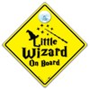 Little Wizard on Board Sign, Wizard Baby on Board Sign,