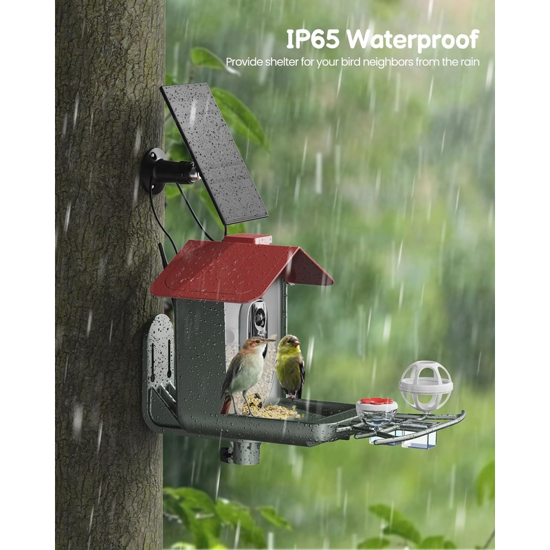 Smart Bird Feeder with Camera Outdoor: Solar Birdfeeder Cam for