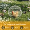 SORENCUT 17.7 Inch Metal Chicken Ball Cage, Large Rolling Chicken