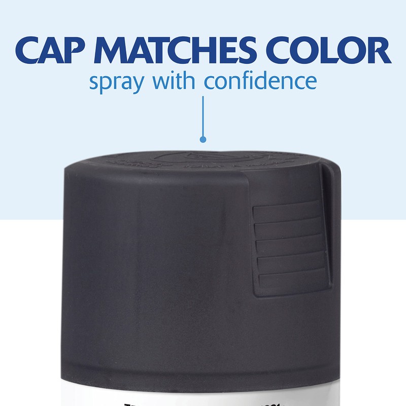 Rust-Oleum 331187-6PK Painter's Touch 2X Ultra Cover Spray Paint, 12