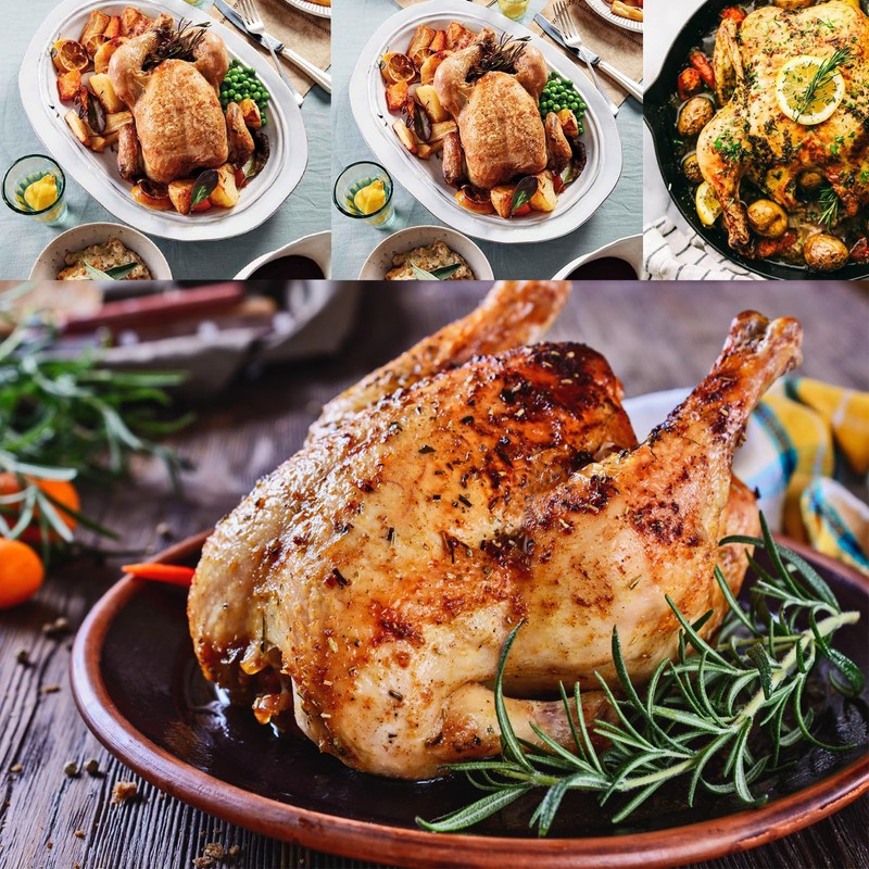 Extra Large 11 Inch Turkey Baster Chicken Poultry Meat BBQ