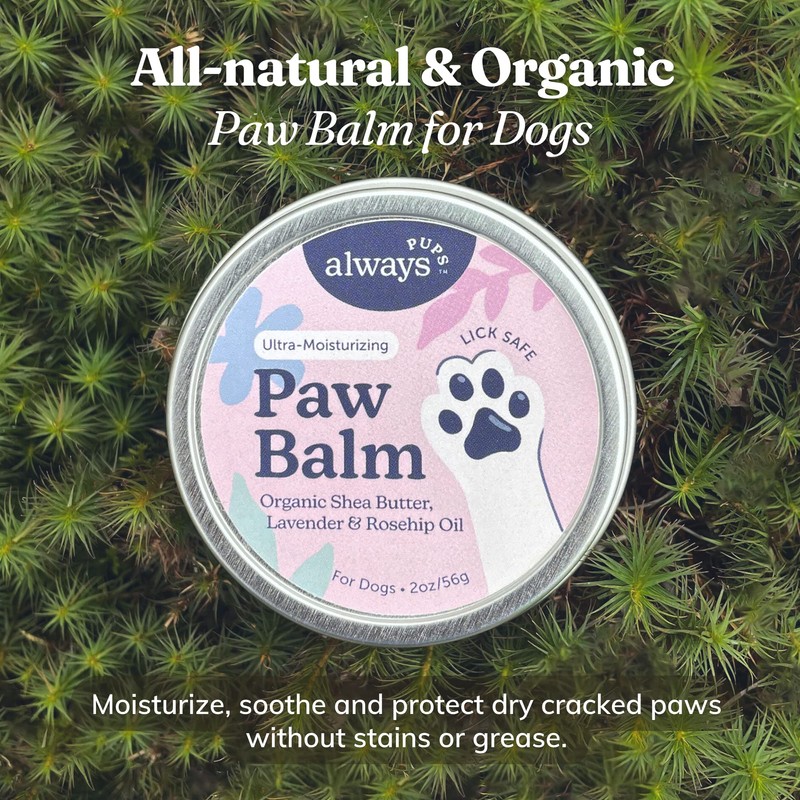 AlwaysPups Organic Paw Balm (1oz Tin)
