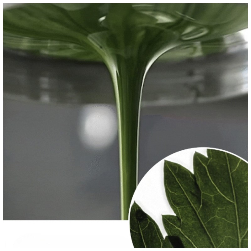 HANYUL Pure Artemisia Watery Calming Cream 55ml