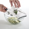 Progressive Hand-Held Adjustable Julienne and Slicer - Angled Stainless Steel