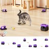 AsFrost Upgraded Interactive Cat Toy for Indoor Cats, Auto/Manual Control