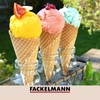 Fackelmann Deluxe Ice Cream Scoop, Stainless Steel Function Head with
