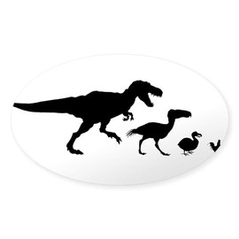 CafePress Dino Chicken Black Oval Car Bumper Sticker