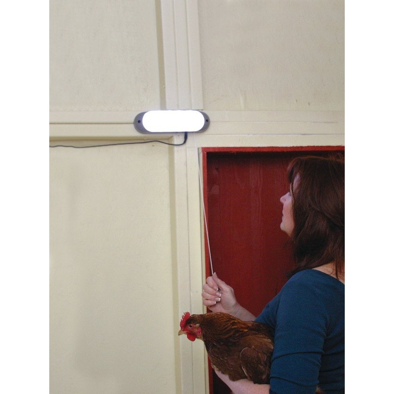 Designers Edge L-949 Rechargeable Solar Shed Lights with 10 Bright