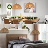 Plug in Pendant Light, Farmhouse Hanging Chandelier Lights with 15ft