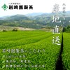 Sencha YaME-cha Tea Leaf Sencha (Pine), 3.5 oz (100 g),
