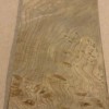Carpathian Elm Burl wood veneer 2.75" x 10"-11" raw with