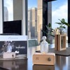 Serenity Glass Diffuser for Essential Oils with White Tea Fragrance