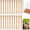 UCandy 20Pack Copper Nails for Killing Trees Stump Root, 3.15"