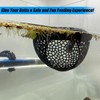 Aquarium Floating Betta Fish Skins, Betta or Shrimp Feeder, Cave