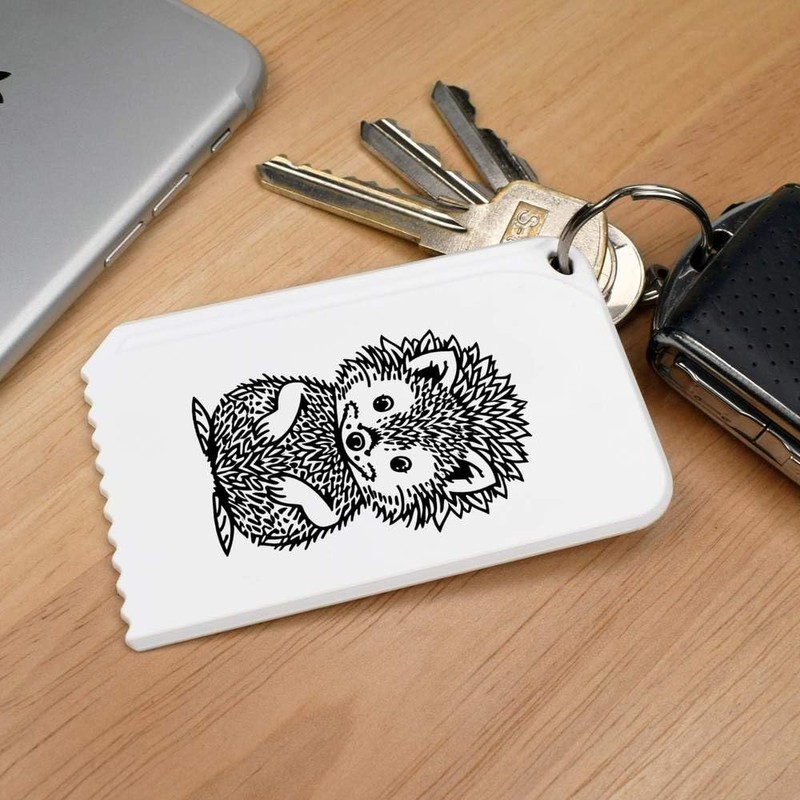 Azeeda 'Cute Hedgehog' Plastic Ice Scraper (IC00034019)