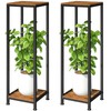 2-Pack Plant Stand Indoor, 41'' Extra Tall Wood Plant Stands