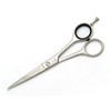 Wahl Hairdressing Styla Scissors 6.0" Italian Series WSIT60 Ice Steel