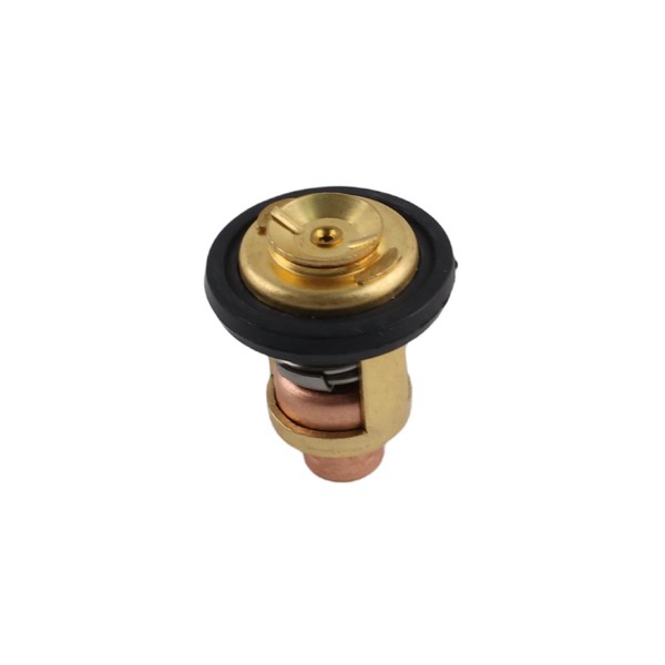 5005440 Thermostat Replacement for Evinrude Brp Omc Johnson Outboard