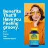 Natures Life Renewing Magnesium 500 Mg Citrato Óxido B-6