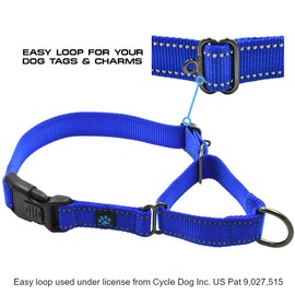 Max and Neo Nylon Martingale Collar - We Donate a Collar to a Dog Rescue for Every Collar Sold (Large, Teal)