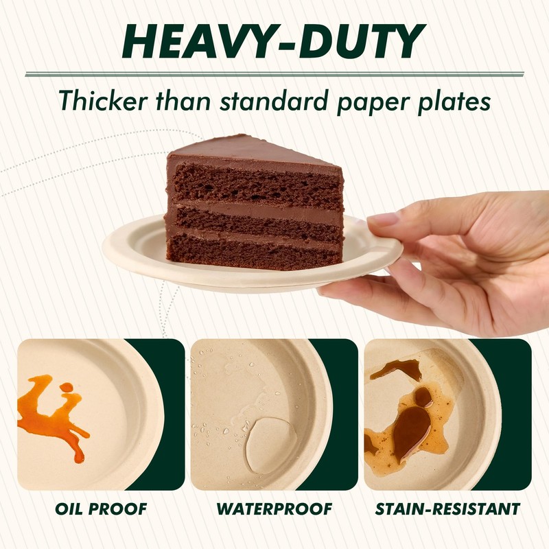 6 Inch 100 Count Round Paper Plates
