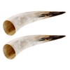 RUNROTOO 2Pcs Horn Wall Flower Vase: Natural Cow Horn Decorative