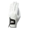 PXG Men's RH Players Glove G4-652021019RHSC-WHT Golf Glove, Right Hand,