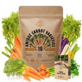 10 Carrot Seeds Variety Pack for Planting Indoor & Outdoors 2300+ Non-GMO Heirloom Carrots Garden Growing Seeds: Imperator, Parisian, Scarlet Nantes, Purple, Red, White, Cosmic Rainbow Carrots & More