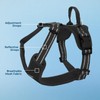 Air Frontier Mesh Dog Harness with Steel Leash D-Ring, Reflective