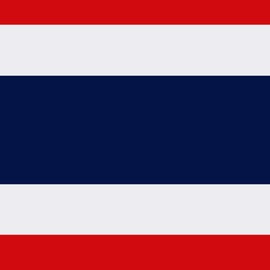 2 Pack Car Flags,Car Flag Thailand Flag Outdoor with Thais Flag and Car Flag Pole, Car Logo Window Clip Can be Clipped to Most Windows 14 inch Flag Pole and 16 x 10 inch Double Sided Flag.