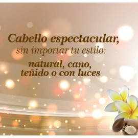Oleo Shampoo Cabello Extractos Oleosos Terramar +